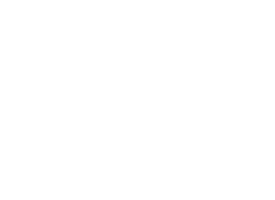bloomhill-flowers