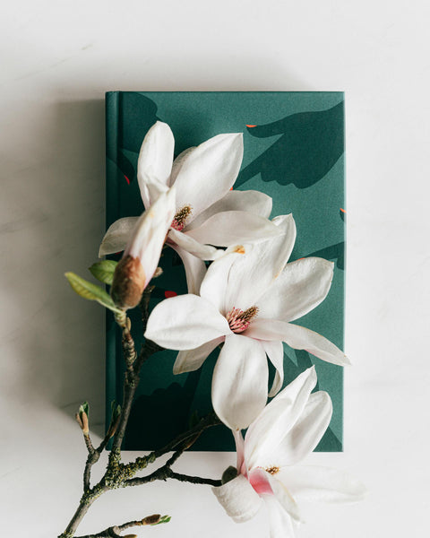 Magnolia