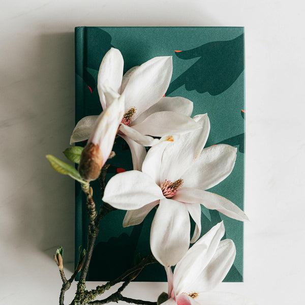 Magnolia