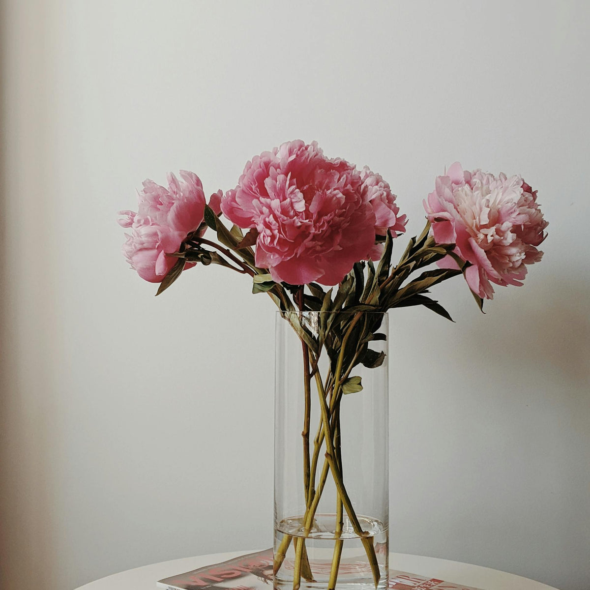 Peonies