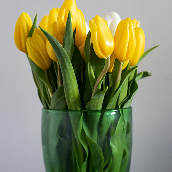 Tulip